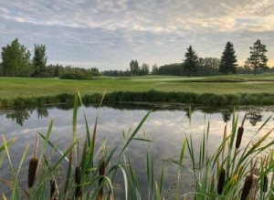 Fototapete Andere canada, grasbewachsenen, Landschaft, Cloud, Ruhe