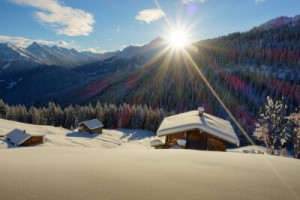 Fototapete Andere Wald, Urlaub, Winter, Schnee, Landschaft