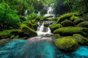 Fototapete Wasserfall Schönheit, Holz, Hintergrund, Natur, im Freien
