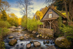 Fototapete Andere aquatischen, See, Landschaft, flux, Herbst