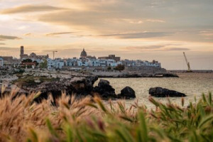 Fototapete Andere Monopole, ansehen, Sonnenuntergang, apulia, Sommer
