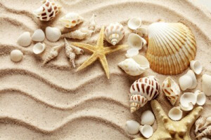 Fototapete Andere Sommer, Rahmen, Strand, marin, Meer