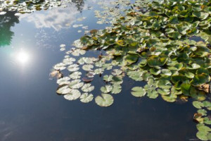 Fototapete Wasser, siehe, Natur, Landschaft, flux