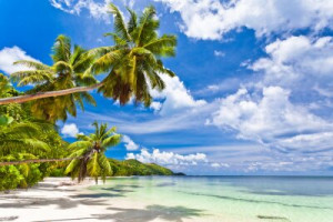 Fototapete Andere weiß, reisen, tropischen, exotischen, Sand