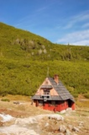Fototapete Andere groß, Hintergrund, Sommer, Hut, grün