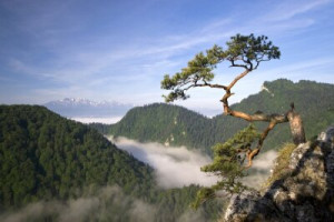 Fototapete Andere ansehen, im Freien, Landschaft, Berg, europa