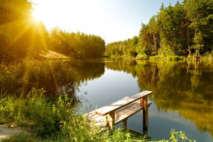 Fototapete Andere Schönheit, ansehen, Holz, Hintergrund, Natur