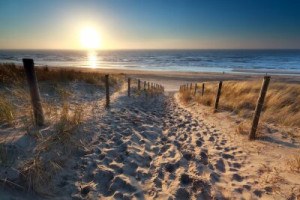 Fototapete Strand Gold, ansehen, Natur, im Freien, Wasser
