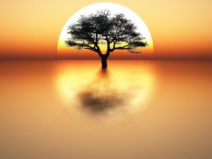 Fototapete Andere gelb, Holz, Natur, Illustration, niemand