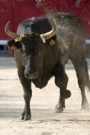 Fototapete Andere Mut, Beweglichkeit, Gefahr, Frankreich, Sport