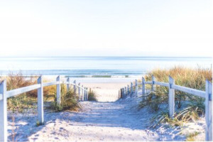 Fototapete Andere Natur, Sommer, grün, Sand, Pfad