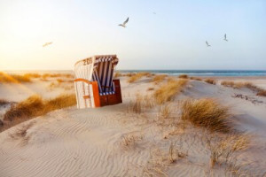 Fototapete Andere Hintergrund, Natur, Sommer, frisch, Sand