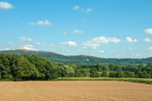 Fototapete Andere Sommer, Landschaft, Jahreszeit, Hügel, Feld
