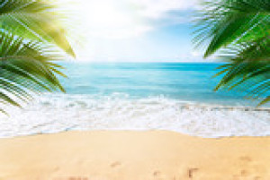 Fototapete Andere tropischen, Urlaub, Strand, Palme, Ozean