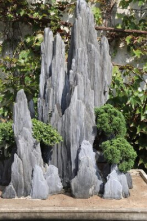 Fototapete Andere Bonsai, Rock, Strauch, feng shui, zen