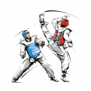 Fototapete Taekwondo, Kampfkunst, Sport, kämpfen, Kämpfer