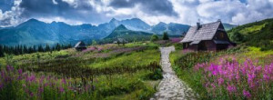 Fototapete Berge Halle, tatra, polen, Berg, Sommer