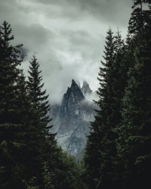 Fototapete Andere Berg, Wald, Schnee, Winter, Landschaft