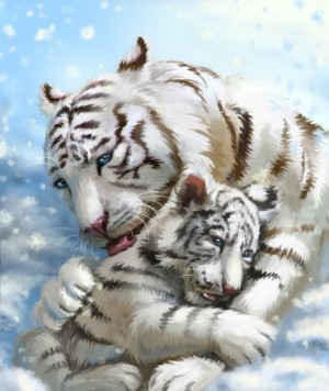 Fototapete weiß, Schnee, Himmel, tiger, Baby