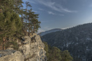 Fototapete Andere ansehen, Holz, Hintergrund, westlichen, Natur