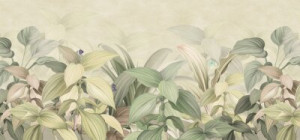 Fototapete Blätter Tropen, Busch, Blatt, palm, Grün