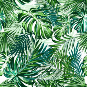 Fototapete Blatt, Hintergrund, botanischen, exotischen, Stoff