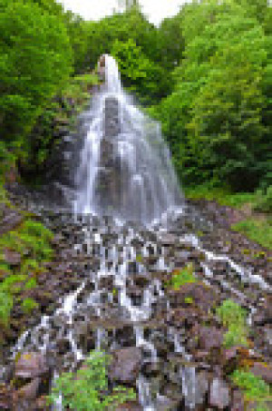 Fototapete Andere deutschland, Natur, Sommer, Wasser, Wald