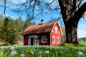 Fototapete red, Schönheit, Holz, weiß, Reise