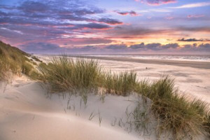 Fototapete Andere Panorama, Düne, Küsten, Küste, holland