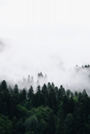 Fototapete Andere Berg, Wald, Landschaft, Himmel, Natur