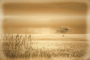 Fototapete Andere gelb, Holz, Papier, Textur, Hintergrund