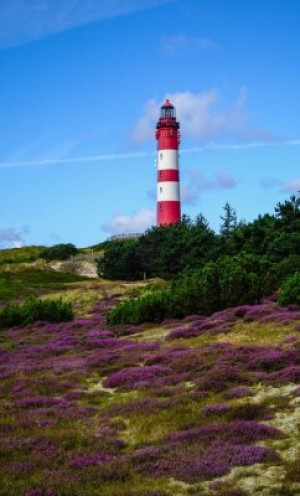 Fototapete Andere erica, Kopie Raum, Wahrzeichen, Landschaft, Ansichts