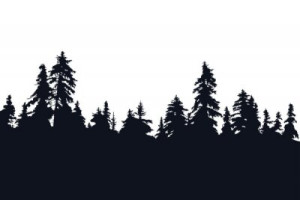 Fototapete art, Holz, Hintergrund, Design, Element