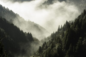 Fototapete Holz, reisen, Wald, Berg, Cloud