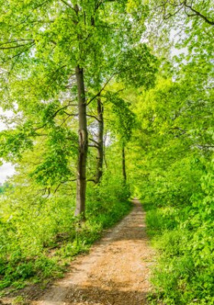 Fototapete Andere Seite, Natur, Stimmung, Sommer, Reise