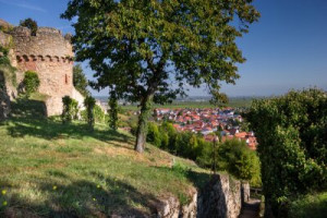 Fototapete pfalz, Fuß, Schloss, Deutsch, Dorf