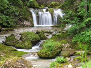 Fototapete Wasser, frisch, Bach, Fluss, Meerjungfrau