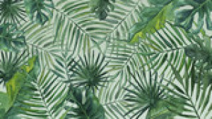 Fototapete Andere Hintergrund, palm, tropischen, Blatt, Tropen