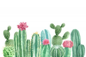 Fototapete Andere Wasserfarbe, Kaktus, saftig, botanischen, Anlage