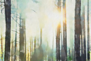 Fototapete Andere Wasserfarbe, Hintergrund, Sonnenuntergang, Wald, Str