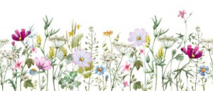 Fototapete Natur, natürlichen, Anlage, floral, Blume