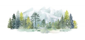 Fototapete Andere Landschaft, Holz, Tierwelt, Baum, Malerei
