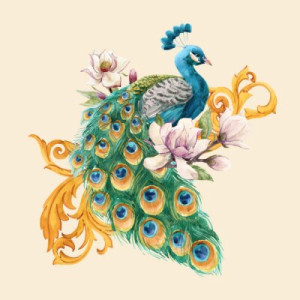 Fototapete Andere Tier, Vogel, Pfau, magnolia, Ornament