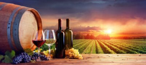 Fototapete Speisen Wein, Weinberg, Glas, Flasche, Fass