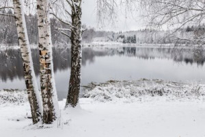Fototapete Andere Schönheit, Hintergrund, Natur, weiß, Wasser