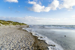 Fototapete Sommer, Feld, Stelle, Meer, Urlaub