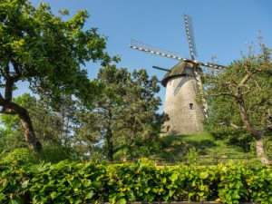 Fototapete Mühle, Windmühle, Flügel, Umzäunung, Baum
