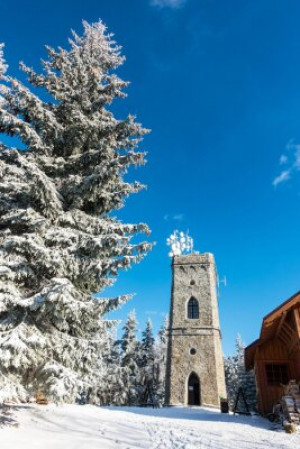 Fototapete Andere reisen, Erkältung, Wald, Wanderung, Urlaub