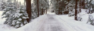 Fototapete Andere Schönheit, ansehen, Natur, frisch, Wald