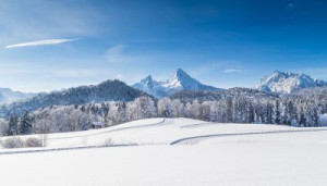 Fototapete Andere Natur, weiß, reisen, Wald, Feld